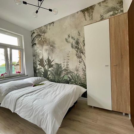 Studio Bielawa U Podnoza Gor Sowich Dış mekan fotoğraf