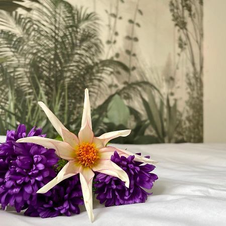 Studio Bielawa U Podnoza Gor Sowich Dış mekan fotoğraf